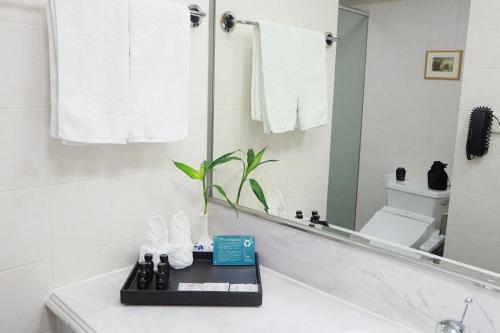 Deluxe King Room image 6