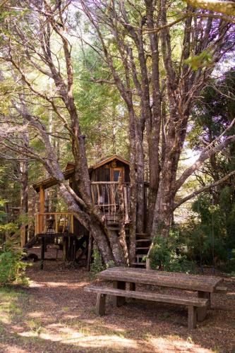 . Pucón Volcano Forest SPA