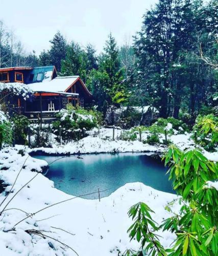 Pucón Volcano Forest SPA (Pucon Volcano Forest SPA) in Pucon Waterfront