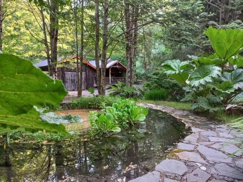 حديقة, Pucón Volcano Forest SPA (Pucon Volcano Forest SPA) in Pucon Waterfront