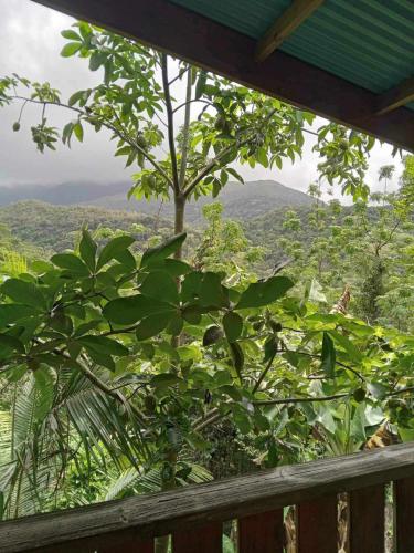 La pirogue enchantée maison baleine (La pirogue enchantee maison baleine) near La Tontouta International Airport