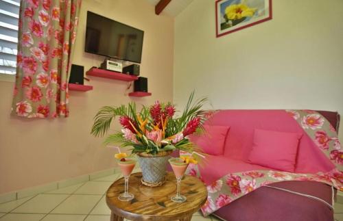 Gîte Orchidée piscine commune