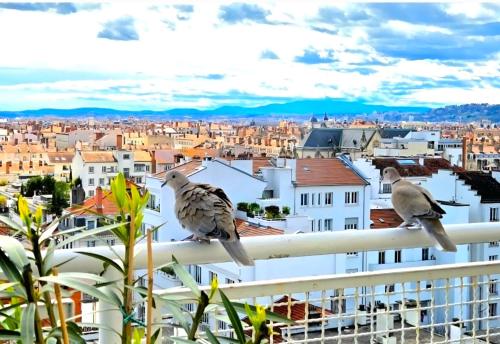 PLEIN SUD Terrasse Garage Netflix Climatisation, Lyon (photo 6)