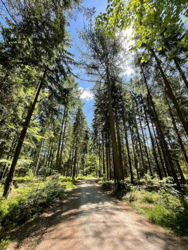 Spirkenhütte Fichtelberg - Ferienhaus bis 6 Personen - mit Sauna - am Fichtelsee (Spirkenhutte Fichtelberg - Ferienhaus bis 6 Personen - mit Sauna - am Fichtelsee) in 菲希特爾貝格