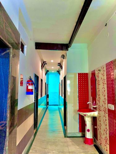 景觀, COZY NEST in 阿格拉