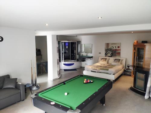Loft Zen SPA Balneo Parking Gratuit Sauna Hammam Billard 2