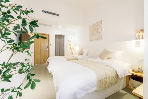 Budget Twin Room image 10