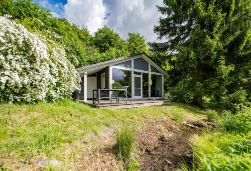 4 Personen mit Sauna F2H8 in Ruhla, Deutschland