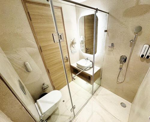 Deluxe Double Room image 5