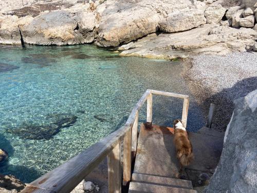 Calanque de Samena, Marsylia