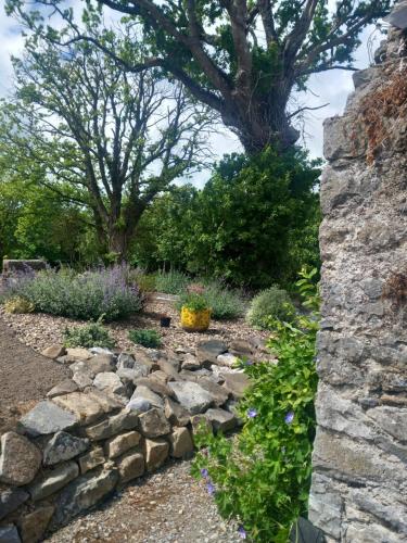 Hemma Grove - A Songbird haven in Cuffesgrange