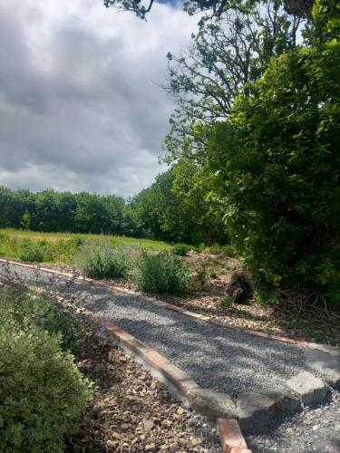 Hemma Grove - A Songbird haven in Cuffesgrange