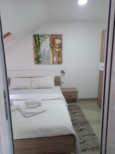 SAN apartmani -U centru in Soko Banja