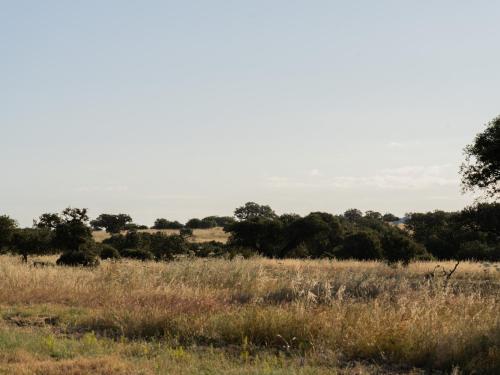 Change The World - Herdade Monte do Peral