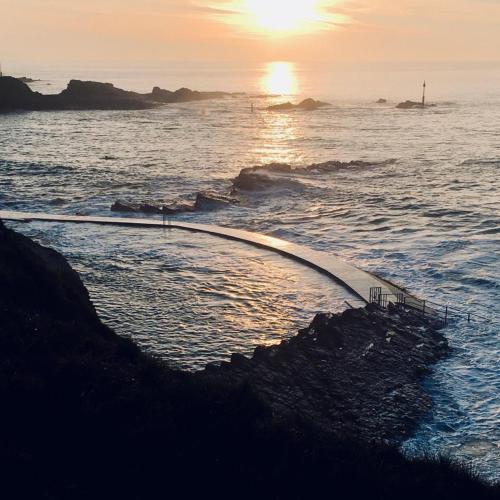 Petrock Holiday Cottages - image 14