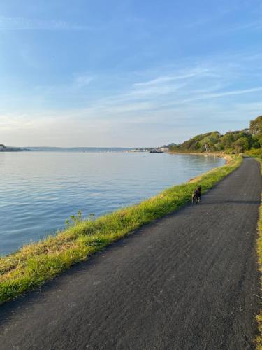 Petrock Holiday Cottages - image 13