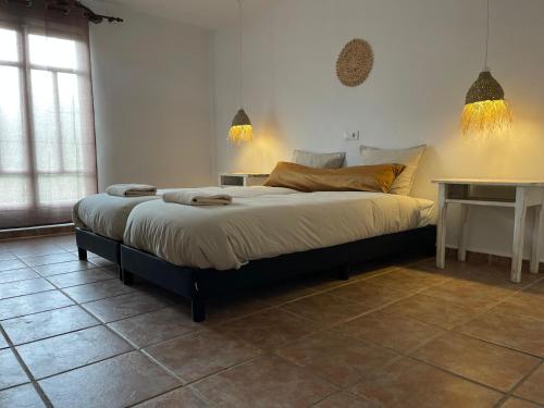 Casa Rural Palaz Cinco in Zarra