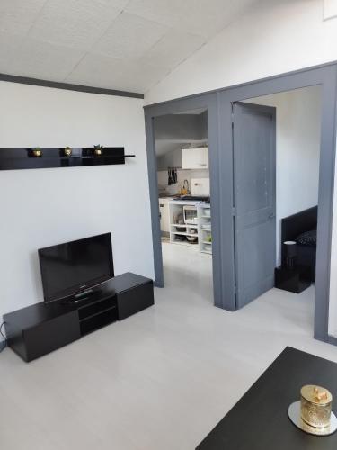 Joli Appartement hyper centre Grenoble - Location saisonnière - Grenoble