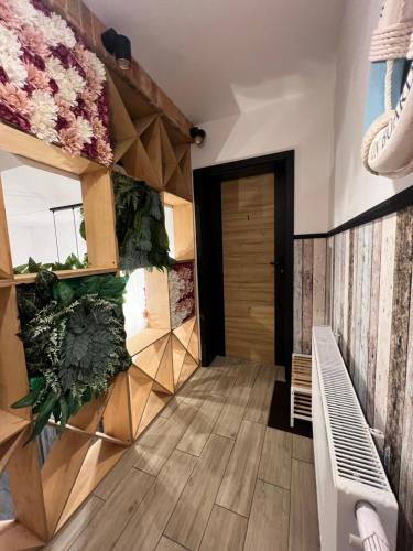 CZARNY BARAN in Дебкі