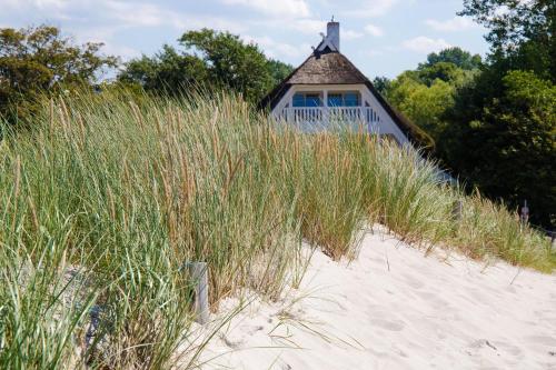 Strandhaus Claassen 10 in Ahrenshoop