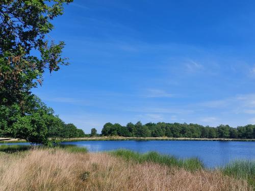 Atrakcje w pobliżu, Egelantier in Zuidwolde