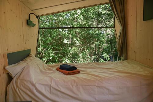 Sleep Space 2 - Green Tiny Spot Cuxhaven Wernerwald, Cuxhaven (foto 2)