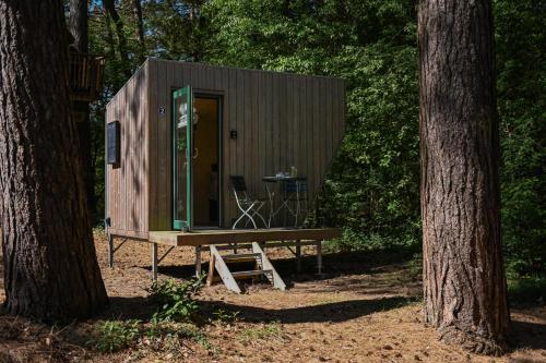 Sleep Space 2 - Green Tiny Spot Cuxhaven Wernerwald, Cuxhaven (foto 3)