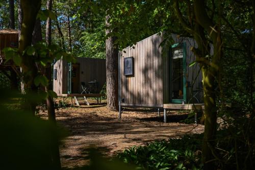 Sleep Space 2 - Green Tiny Spot Cuxhaven Wernerwald, Cuxhaven (foto 8)