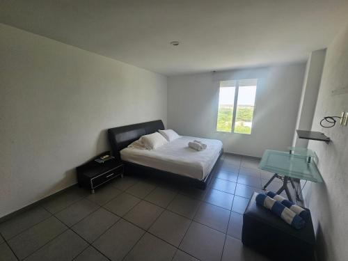 Habitación Privada en la Playa de Cancun y junto al Ferry que va a Isla Mujeres, Cancún (fotografie 7)