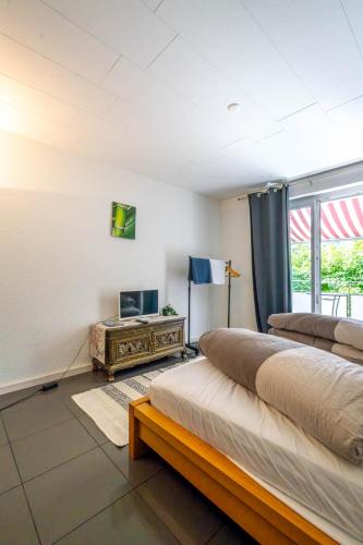 Sunny Home near Zurich Airport, Curych (fotografie 7)