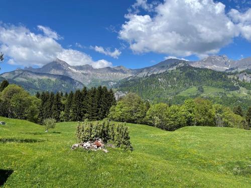 Appartement Crest-Voland, 4 pièces, 6 personnes - FR-1-733-16 (Appartement renove, 6 pers, 2 ch + coin montagne, centre Crest-Voland, parking, skiroom, WIFI - FR-1) in Crest-Voland