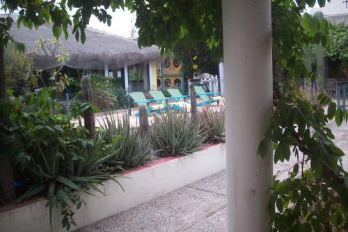 Casabuena B&B in La Paz, Mexico