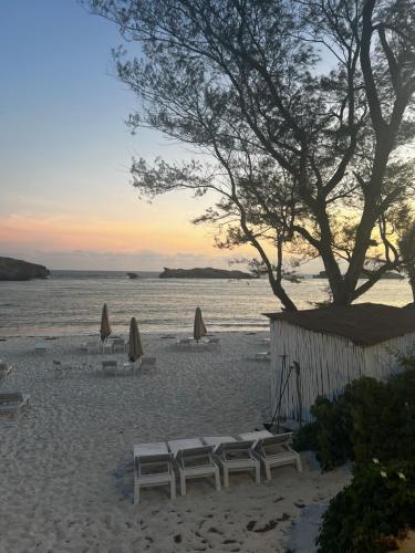 Villa Amalia in วาตามู