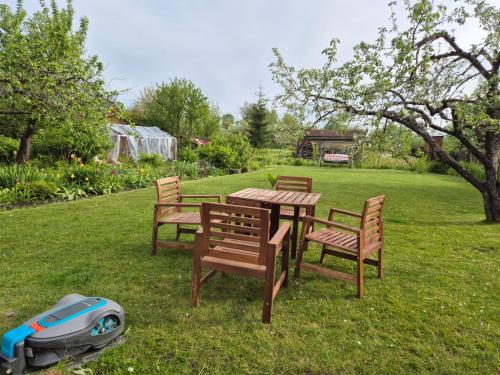 Garden, Karikakra Holiday in Ulejoe