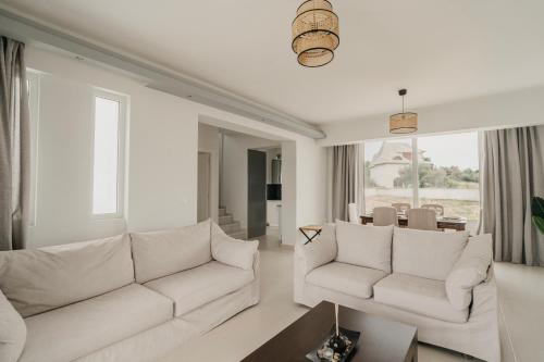 Areti White Villas in Posidonia