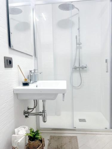 One-Bedroom Apartment image 8