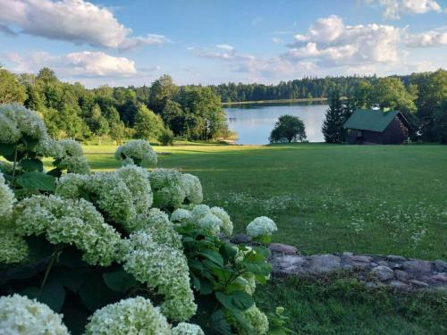 Skats, Lake 4U in Aukstadvaris