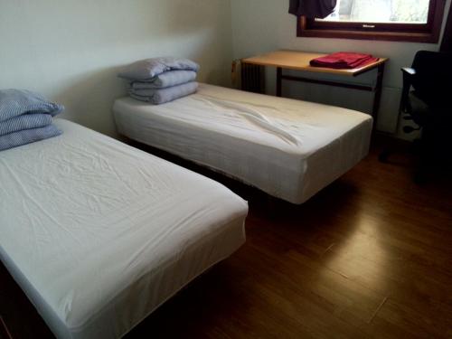 花园景民宿 花园景民宿