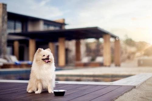Zadún, a Ritz-Carlton Reserve, Los Cabos