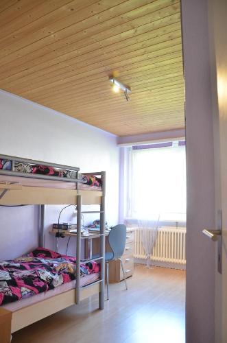 Ferienwohnung Sonnmatt Ferienwohnung Sonnmatt
