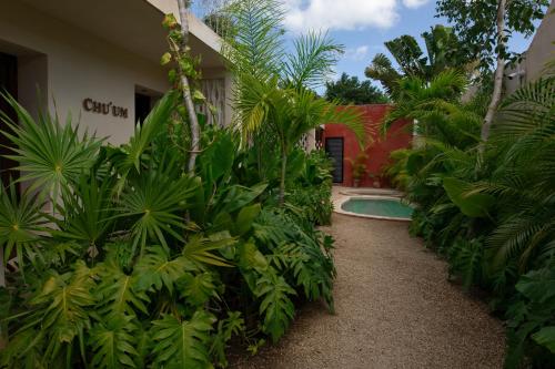 Kert, Aldea Itzamatul in Centro