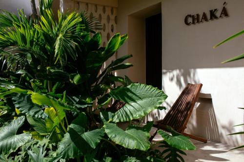 Kert, Aldea Itzamatul in Centro