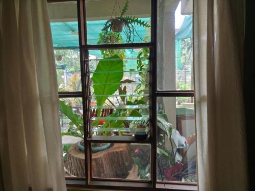 Double Room image 1