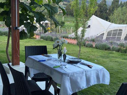 Hotel Boutique La Caballeriza in 基亞科約