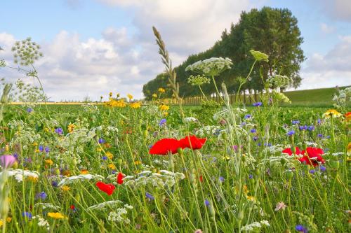 Hotel Mijdrecht Marickenland