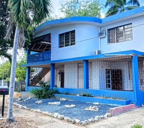 The Little Blue House