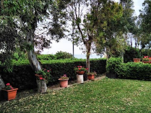 Hotel Baia Del Sole - main image