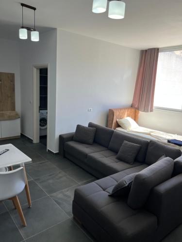 One-Bedroom Apartment image 10