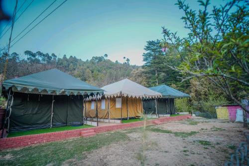 Mount Look, Mukteshwar (zdjęcie 6)