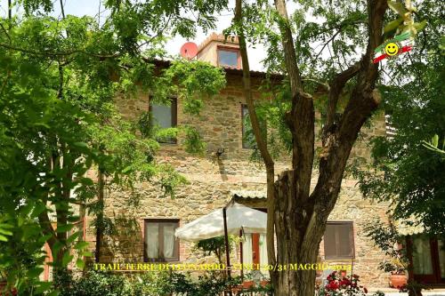 Le Mimose B&B 5